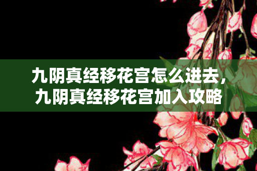 九阴真经移花宫怎么进去,九阴真经移花宫加入攻略 九阴真经移花宫怎么进去,九阴真经移花宫加入攻略