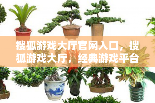 搜狐游戏大厅官网入口，搜狐游戏大厅，经典游戏平台的回忆与未来