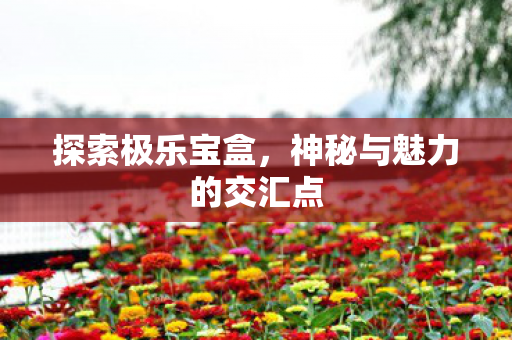 探索极乐宝盒,神秘与魅力的交汇点 探索极乐宝盒,神秘与魅力的交汇点