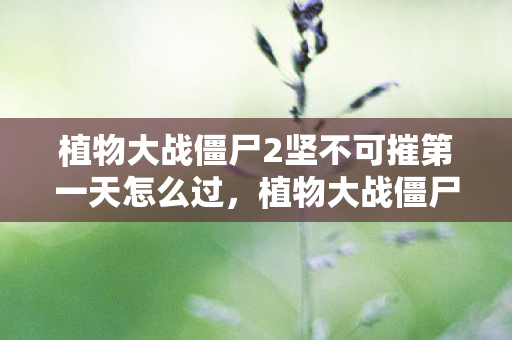 植物大战僵尸2坚不可摧第一天怎么过,植物大战僵尸2,坚不可摧第三天的挑战策略 植物大战僵尸2坚不可摧第一天怎么过,植物大战僵尸2,坚不可摧第三天的挑战策略