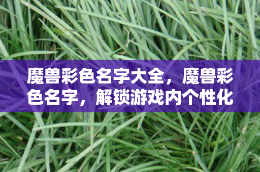 魔兽彩色名字大全，魔兽彩色名字，解锁游戏内个性化设置的新玩法
