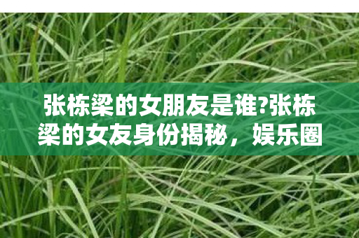 张栋梁的女朋友是谁?张栋梁的女友身份揭秘,娱乐圈的低调情侣 张栋梁的女朋友是谁?张栋梁的女友身份揭秘,娱乐圈的低调情侣