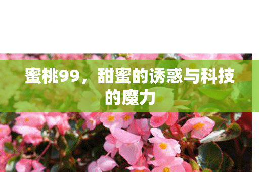 蜜桃99,甜蜜的诱惑与科技的魔力 蜜桃99,甜蜜的诱惑与科技的魔力