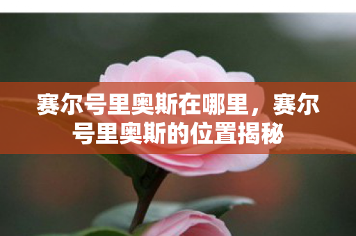 赛尔号里奥斯在哪里，赛尔号里奥斯的位置揭秘