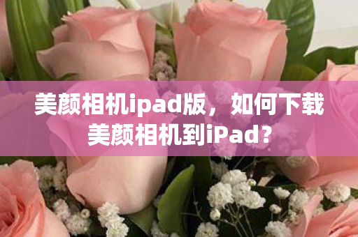 美颜相机ipad版，如何下载美颜相机到iPad？