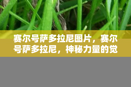 赛尔号萨多拉尼图片,赛尔号萨多拉尼,神秘力量的觉醒 赛尔号萨多拉尼图片,赛尔号萨多拉尼,神秘力量的觉醒