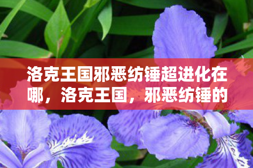 洛克王国邪恶纺锤超进化在哪,洛克王国,邪恶纺锤的阴影 洛克王国邪恶纺锤超进化在哪,洛克王国,邪恶纺锤的阴影