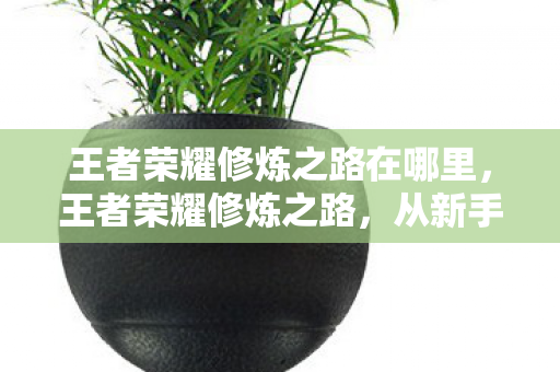 王者荣耀修炼之路在哪里，王者荣耀修炼之路，从新手到高手的必经之路