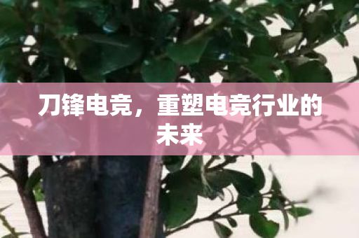 刀锋电竞,重塑电竞行业的未来 刀锋电竞,重塑电竞行业的未来