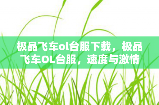 极品飞车ol台服下载,极品飞车OL台服,速度与激情的极致体验 极品飞车ol台服下载,极品飞车OL台服,速度与激情的极致体验