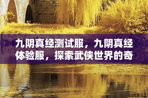 九阴真经测试服，九阴真经体验服，探索武侠世界的奇妙之旅