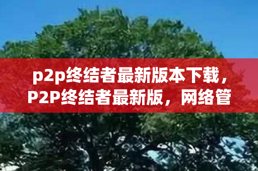 p2p终结者最新版本下载,P2P终结者最新版,网络管理的革命性工具 p2p终结者最新版本下载,P2P终结者最新版,网络管理的革命性工具