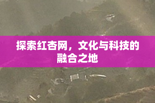 探索红杏网,文化与科技的融合之地 探索红杏网,文化与科技的融合之地
