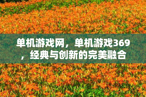 单机游戏网，单机游戏369，经典与创新的完美融合