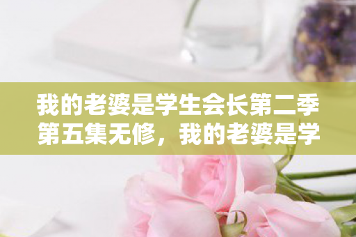 我的老婆是学生会长第二季第五集无修,我的老婆是学生会长 第二季 无修 我的老婆是学生会长第二季第五集无修,我的老婆是学生会长 第二季 无修