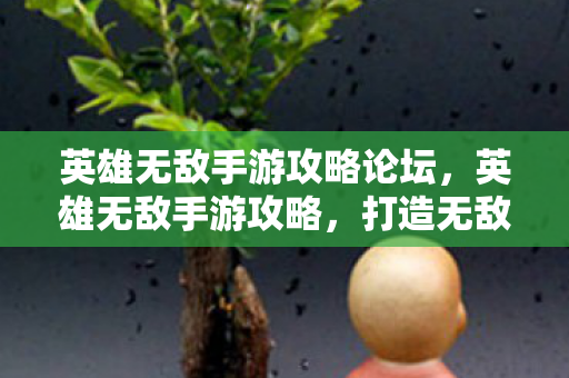 英雄无敌手游攻略论坛，英雄无敌手游攻略，打造无敌军团，征服魔幻世界