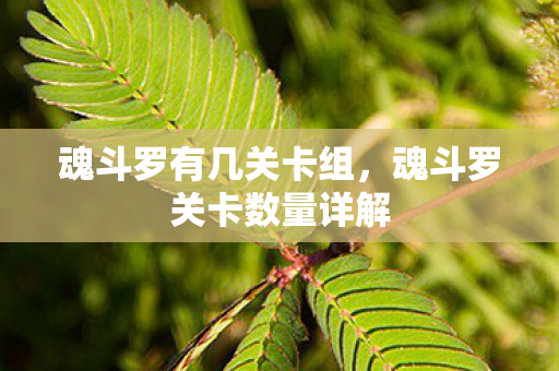 魂斗罗有几关卡组,魂斗罗关卡数量详解 魂斗罗有几关卡组,魂斗罗关卡数量详解