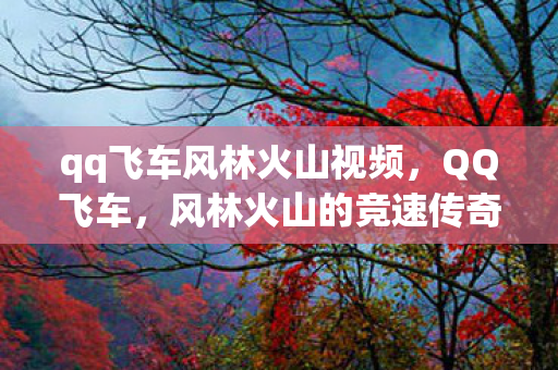 qq飞车风林火山视频，QQ飞车，风林火山的竞速传奇