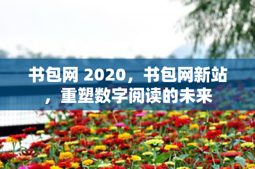 书包网 2020,书包网新站,重塑数字阅读的未来 书包网 2020,书包网新站,重塑数字阅读的未来