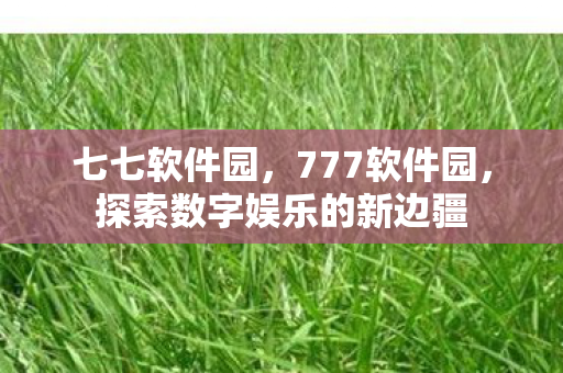七七软件园，777软件园，探索数字娱乐的新边疆
