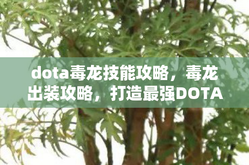 dota毒龙技能攻略,毒龙出装攻略,打造最强DOTA英雄装备搭配 dota毒龙技能攻略,毒龙出装攻略,打造最强DOTA英雄装备搭配