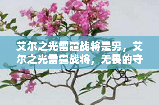 艾尔之光雷霆战将是男,艾尔之光雷霆战将,无畏的守护者 艾尔之光雷霆战将是男,艾尔之光雷霆战将,无畏的守护者