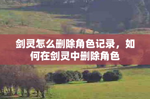剑灵怎么删除角色记录，如何在剑灵中删除角色