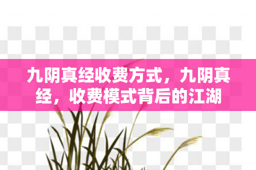 九阴真经收费方式，九阴真经，收费模式背后的江湖
