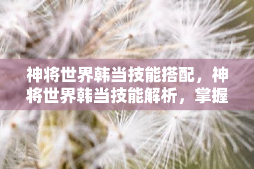神将世界韩当技能搭配，神将世界韩当技能解析，掌握韩当的独特战斗艺术