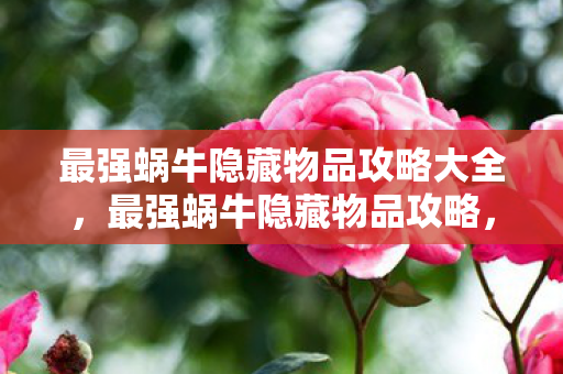 最强蜗牛隐藏物品攻略大全,最强蜗牛隐藏物品攻略,解锁神秘宝藏,提升游戏乐趣 最强蜗牛隐藏物品攻略大全,最强蜗牛隐藏物品攻略,解锁神秘宝藏,提升游戏乐趣
