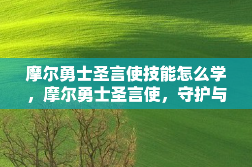 摩尔勇士圣言使技能怎么学,摩尔勇士圣言使,守护与传承的传奇 摩尔勇士圣言使技能怎么学,摩尔勇士圣言使,守护与传承的传奇