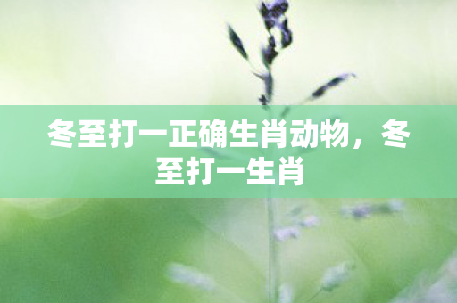 冬至打一正确生肖动物,冬至打一生肖 冬至打一正确生肖动物,冬至打一生肖