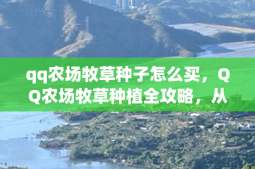qq农场牧草种子怎么买,QQ农场牧草种植全攻略,从入门到精通 qq农场牧草种子怎么买,QQ农场牧草种植全攻略,从入门到精通