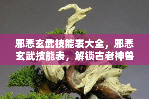 邪恶玄武技能表大全,邪恶玄武技能表,解锁古老神兽的奥秘 邪恶玄武技能表大全,邪恶玄武技能表,解锁古老神兽的奥秘