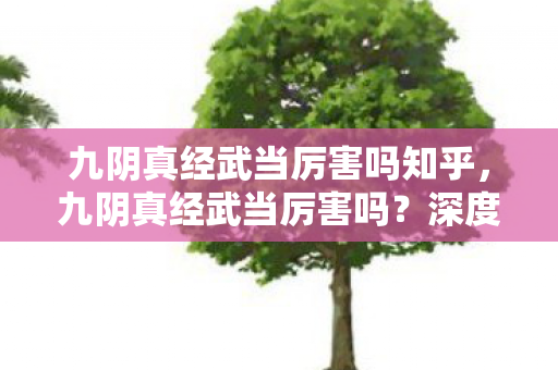 九阴真经武当厉害吗知乎,九阴真经武当厉害吗?深度解析武当派在游戏中的表现 九阴真经武当厉害吗知乎,九阴真经武当厉害吗?深度解析武当派在游戏中的表现