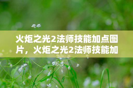 火炬之光2法师技能加点图片,火炬之光2法师技能加点图详解 火炬之光2法师技能加点图片,火炬之光2法师技能加点图详解