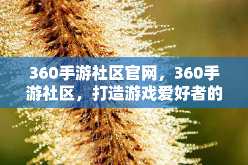 360手游社区官网,360手游社区,打造游戏爱好者的互动乐园 360手游社区官网,360手游社区,打造游戏爱好者的互动乐园