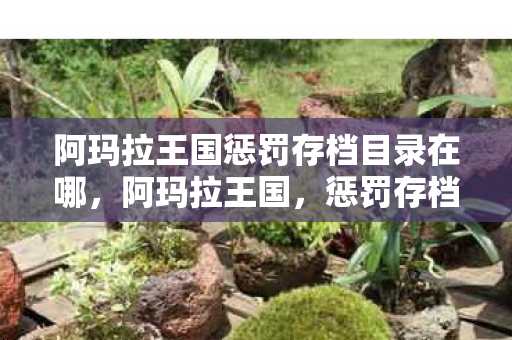 阿玛拉王国惩罚存档目录在哪,阿玛拉王国,惩罚存档位置详解 阿玛拉王国惩罚存档目录在哪,阿玛拉王国,惩罚存档位置详解