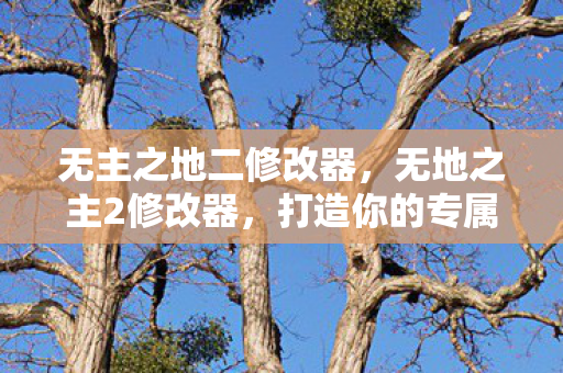 无主之地二修改器，无地之主2修改器，打造你的专属游戏世界