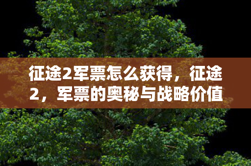 征途2军票怎么获得，征途2，军票的奥秘与战略价值