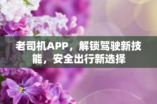 老司机APP,解锁驾驶新技能,安全出行新选择 老司机APP,解锁驾驶新技能,安全出行新选择