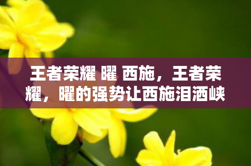 王者荣耀 曜 西施,王者荣耀,曜的强势让西施泪洒峡谷 王者荣耀 曜 西施,王者荣耀,曜的强势让西施泪洒峡谷