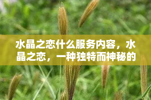 水晶之恋什么服务内容,水晶之恋,一种独特而神秘的服务体验 水晶之恋什么服务内容,水晶之恋,一种独特而神秘的服务体验