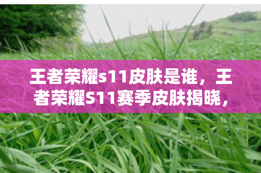 王者荣耀s11皮肤是谁,王者荣耀S11赛季皮肤揭晓,探索未知,共赴荣耀之旅 王者荣耀s11皮肤是谁,王者荣耀S11赛季皮肤揭晓,探索未知,共赴荣耀之旅
