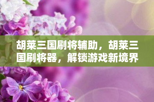 胡莱三国刷将辅助,胡莱三国刷将器,解锁游戏新境界的利器 胡莱三国刷将辅助,胡莱三国刷将器,解锁游戏新境界的利器