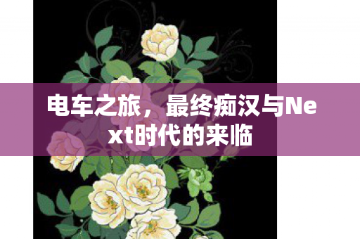 电车之旅,最终痴汉与Next时代的来临 电车之旅,最终痴汉与Next时代的来临