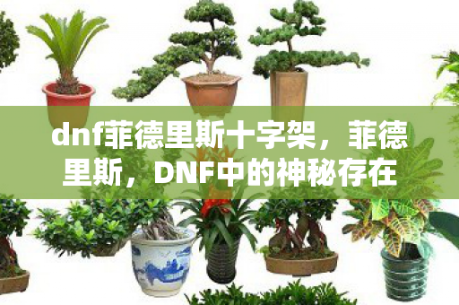 dnf菲德里斯十字架,菲德里斯,DNF中的神秘存在 dnf菲德里斯十字架,菲德里斯,DNF中的神秘存在