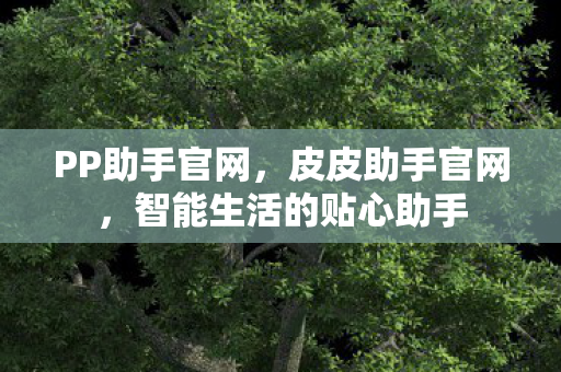 PP助手官网，皮皮助手官网，智能生活的贴心助手