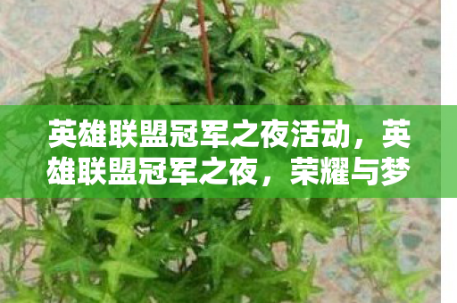 英雄联盟冠军之夜活动,英雄联盟冠军之夜,荣耀与梦想的交响曲 英雄联盟冠军之夜活动,英雄联盟冠军之夜,荣耀与梦想的交响曲