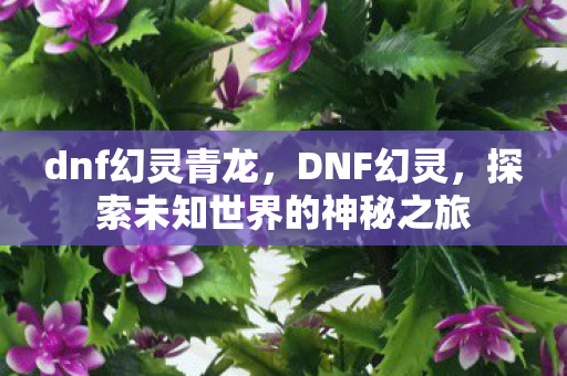 dnf幻灵青龙,DNF幻灵,探索未知世界的神秘之旅 dnf幻灵青龙,DNF幻灵,探索未知世界的神秘之旅